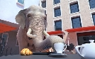 Athleticus | TV-Programm von arte