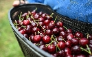 Gesundheit! | TV-Programm von ARD alpha HD