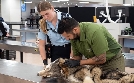 Border Patrol New Zealand - Einsatz an der Grenze | TV-Programm von N24 Doku
