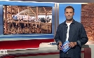 Niedersachsen 18.00 | TV-Programm von NDR