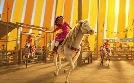 Spirit - Frei und ungezähmt | TV-Programm von RTL SUPER