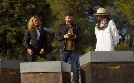 Wo ist Albert? | TV-Programm von ONE HD