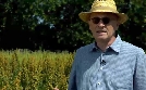 Der Traum vom Süden - Exotische Pflanzen in Österreich | TV-Programm von 3sat