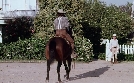 Unsere kleine Farm | TV-Programm von SAT.1 Gold