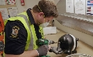 Border Patrol New Zealand - Einsatz an der Grenze | TV-Programm von N24 Doku