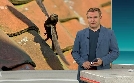 SWR Aktuell Baden-Württemberg | TV-Programm von SWR