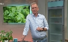 Kaffee oder Tee | TV-Programm von SWR