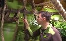 Die Tier-Docs! Pfotenhelden mit Herz | TV-Programm von SAT.1 Gold