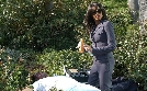 CSI: Miami | TV-Programm von VOX