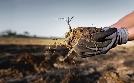 NDR Story | TV-Programm von tagesschau24