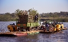 Giraffen - Afrikas sanfte Giganten | TV-Programm von 3sat