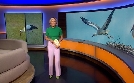 Abendschau | TV-Programm von BR