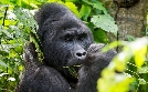Expedition Afrika - Unterwegs mit Fotograf und Filmemacher Reinhard Mink | TV-Programm von hr