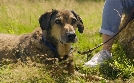 Tierisch tierisch | TV-Programm von mdr