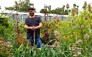 Garten und lecker | TV-Programm von WDR
