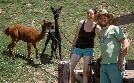 Bergbauernleben - Der Frühling | TV-Programm von 3sat