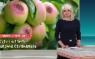 SWR Aktuell Baden-Württemberg | TV-Programm von SWR