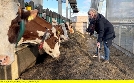 Nordseereport | TV-Programm von 3sat