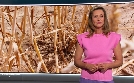 Alternative für Arbeiter? | TV-Programm von phoenix