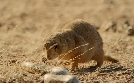 Naturwunder Mexiko | TV-Programm von phoenix