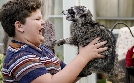Young Sheldon | TV-Programm von ProSieben
