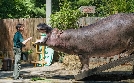 Tierärztin Dr. Mertens | TV-Programm von ONE HD