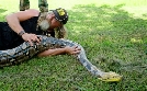Die Pythonjäger - Einsatz in den Everglades | TV-Programm von DMAX