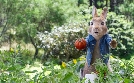 Peter Hase 2 - Ein Hase macht sich vom Acker | TV-Programm von SAT.1