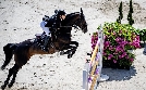 Pferdesport: League of Nations in Ocala | TV-Programm von Eurosport