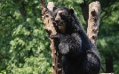 Bronx Zoo - Tierpark der Superlative | TV-Programm von TLC