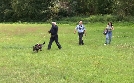 SOS - Retter im Einsatz | TV-Programm von RTLZWEI