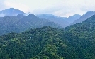 Phänomenale Natur | TV-Programm von arte