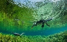 Amerikas Dschungel | TV-Programm von arte