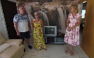 Ein Fall für Annika Bengtzon | TV-Programm von SWR