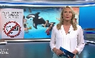 Zur Sache Rheinland-Pfalz! | TV-Programm von tagesschau24