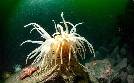 Das Traumschiff | TV-Programm von ZDF