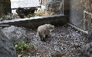 Bronx Zoo - Tierpark der Superlative | TV-Programm von TLC