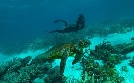 Deep Dive Australia | TV-Programm von 3sat