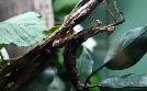 Bronx Zoo - Tierpark der Superlative | TV-Programm von TLC