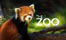 Bronx Zoo - Tierpark der Superlative | TV-Programm von TLC