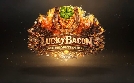 Luckybacon - Kochen, Jammen, Quatschen | TV-Programm von DF1