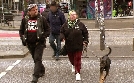 Hartz Rot Gold - Armutskarte Deutschland | TV-Programm von RTLZWEI