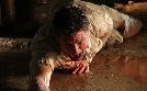 Anaconda - Offspring | TV-Programm von Tele 5