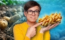 Quarks | TV-Programm von hr