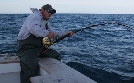 Hochsee-Cowboys - Wettkampf auf dem Meer | TV-Programm von ProSieben MAXX