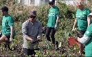 Hüter der Südseeinseln | TV-Programm von arte