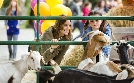 October Kiss | TV-Programm von RTL SUPER