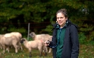 Die Tier-Docs vom Schwarzwald | TV-Programm von SWR