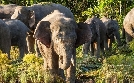 natur exclusiv | TV-Programm von BR