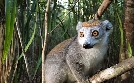 Unbekanntes Madagaskar | TV-Programm von arte